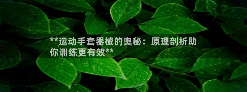 尊龙凯时的生产设备：**运动手套器械的奥秘：原理剖析