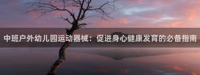 尊龙凯时人生就是博官网登录：中班户外幼儿园运动器械：