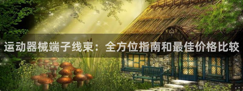 尊龙人生就是博AG：运动器械端子线束：全方位指南和最