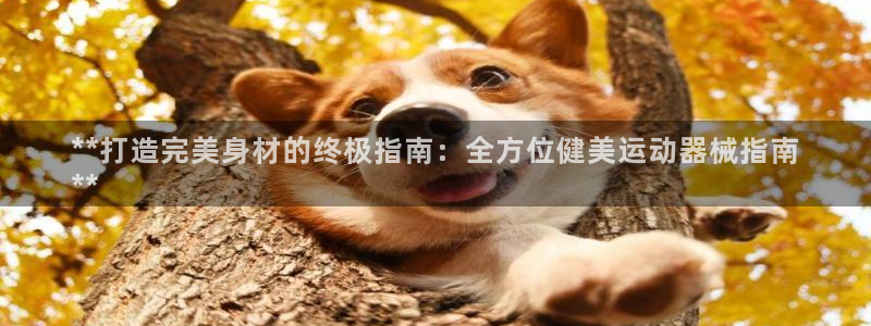 尊龙凯时官方下载：**打造完美身材的终极指南：全方位
