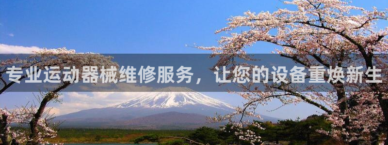 尊龙凯时怎么注销账号：专业运动器械维修服务，让您的设