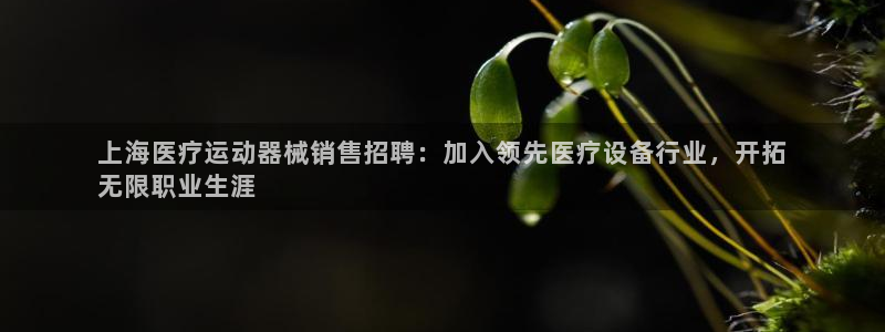 尊龙凯时法拉币：上海医疗运动器械销售招聘：加入领先医