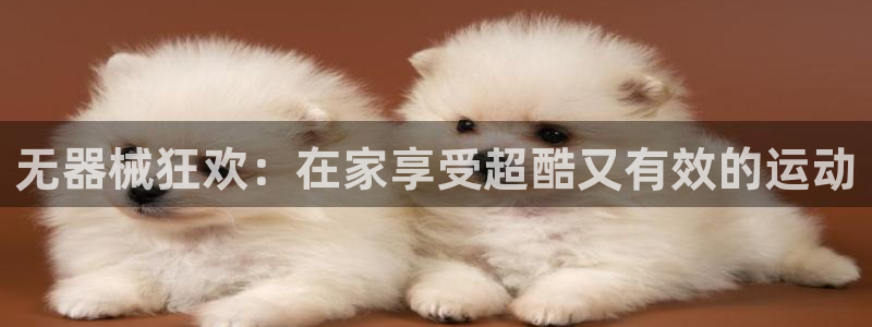 尊龙人生就是博现金：无器械狂欢：在家享受超酷又有效的