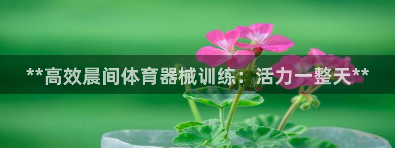 尊龙在线登录官网：**高效晨间体育器械训练：活力一整