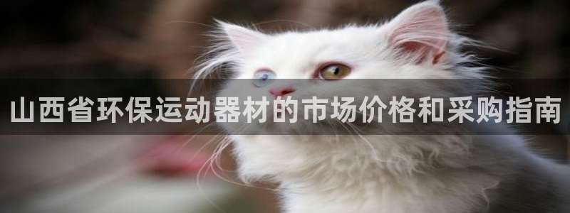 尊龙—人生就是博：山西省环保运动器材的市场价格和采购