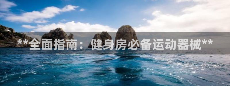 尊龙人生就是博送38：**全面指南：健身房必备运动器