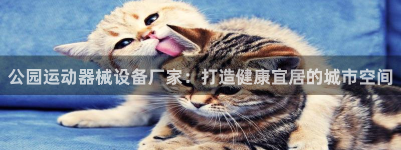 尊龙官方身高：公园运动器械设备厂家：打造健康宜居的城