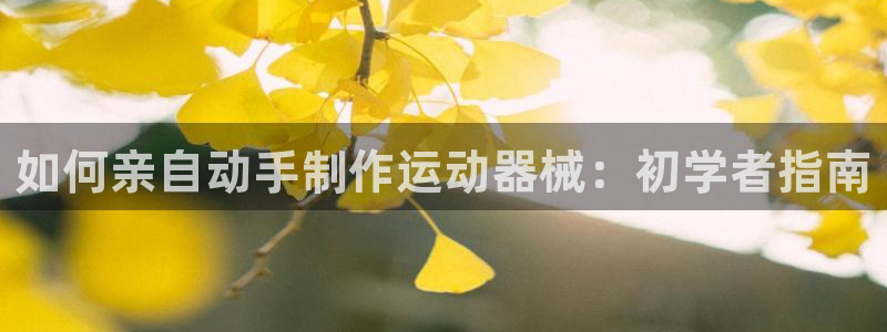 新版尊龙99：如何亲自动手制作运动器械：初学者指南