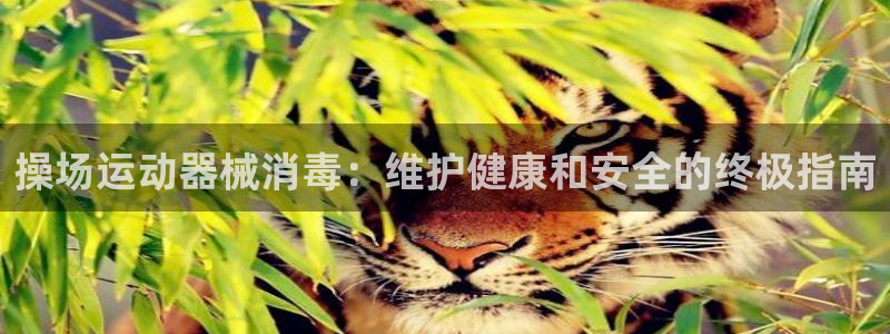 尊龙现金d88：操场运动器械消毒：维护健康和安全的终