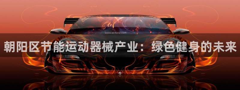 尊龙凯时官网：朝阳区节能运动器械产业：绿色健身的未来