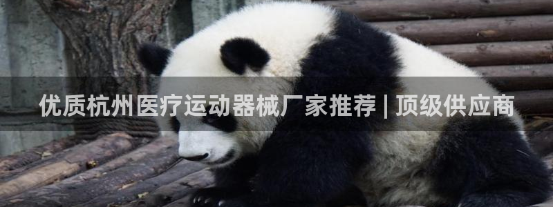 尊龙凯时下载人生就是博：优质杭州医疗运动器械厂家推荐