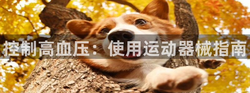 尊龙新版app首页：控制高血压：使用运动器械指南