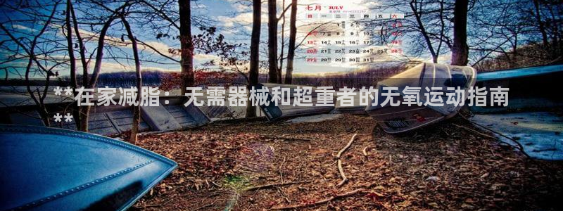尊龙凯时提不了款：**在家减脂：无需器械和超重者的无
