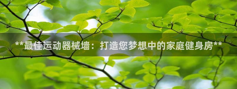 尊龙凯时充值不到账：**最佳运动器械墙：打造您梦想中