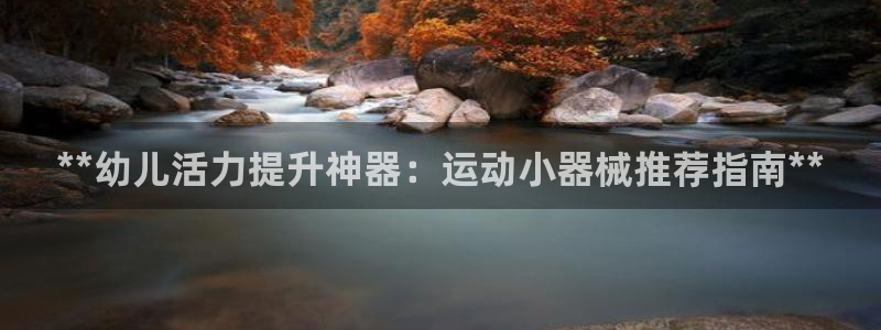 z6尊龙z6：**幼儿活力提升神器：运动小器械推荐指