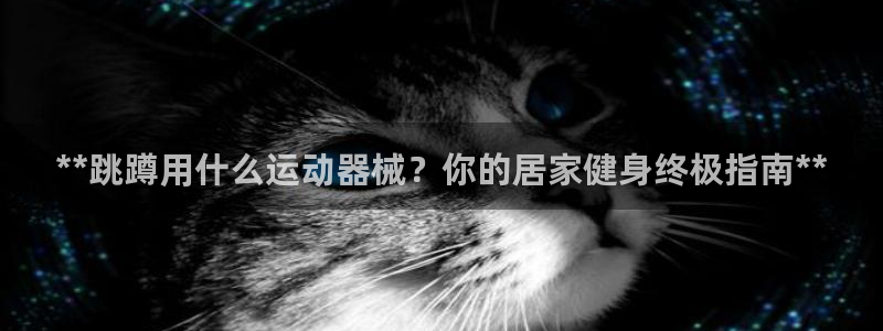 尊龙实业：**跳蹲用什么运动器械？你的居家健身终极指