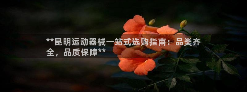 尊龙凯时官网登录入口：**昆明运动器械一站式选购指南