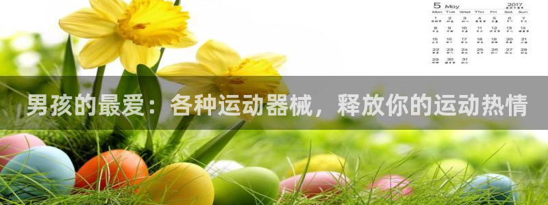 尊龙人生就是博旧版网址： 男孩的最爱：各种运动器械，