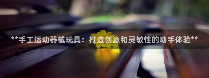 凯时k66娱乐登录：**手工运动器械玩具：打造创意和