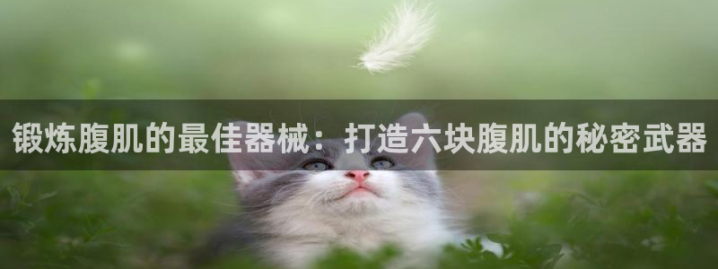尊龙凯时平台怎么样：锻炼腹肌的最佳器械：打造六块腹肌