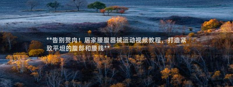 凯时k66娱乐登录：**告别赘肉！居家腰腹器械运动视