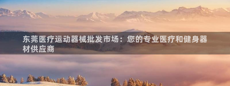 凯时K66最新版本下载：东莞医疗运动器械批发市场：您