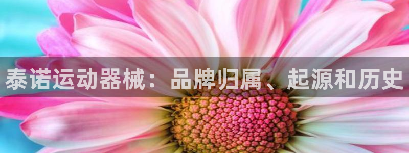 尊龙凯时注册地址：泰诺运动器械：品牌归属、起源和历史