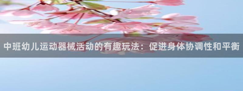 尊龙凯时网娱乐最新版：中班幼儿运动器械活动的有趣玩法