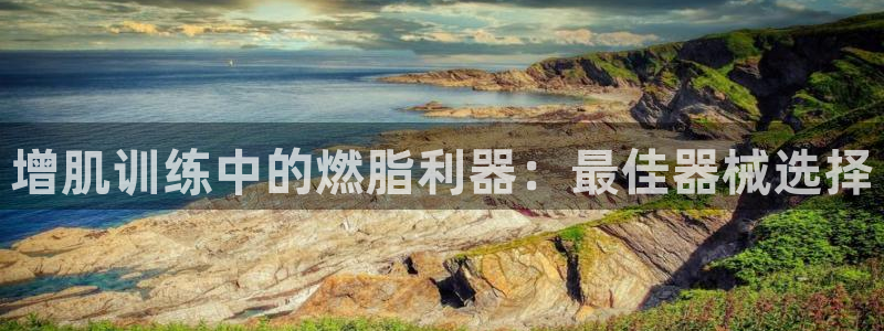 尊龙凯时处理未到账：增肌训练中的燃脂利器：最佳器械选