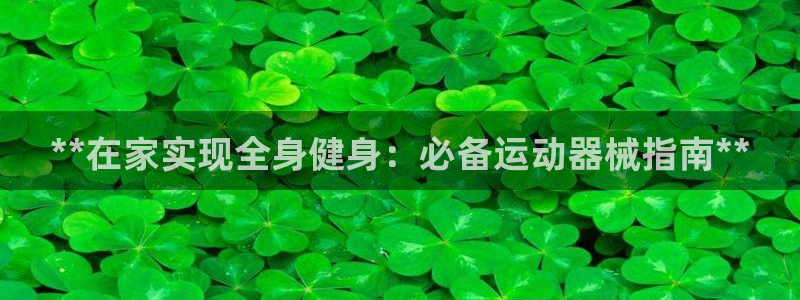 尊龙凯时干什么的：**在家实现全身健身：必备运动器械