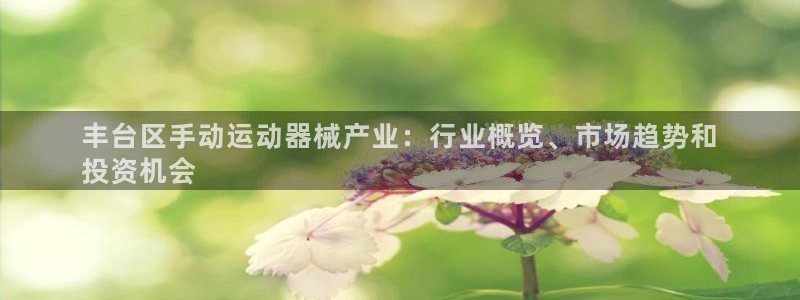 凯时AG网：丰台区手动运动器械产业：行业概览、市场趋