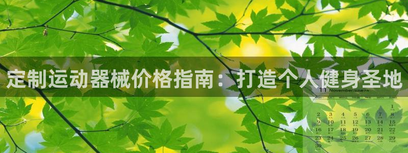 凯时效果怎么样：定制运动器械价格指南：打造个人健身圣