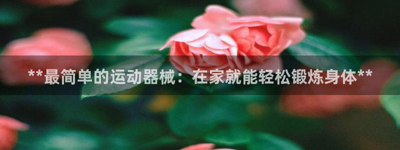 尊龙手机官方客户端下载：**最简单的运动器械：在家就