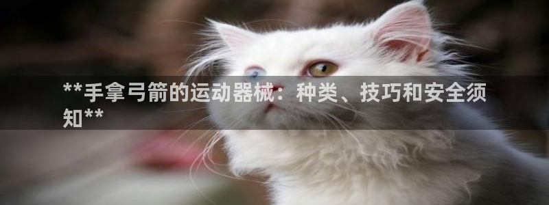 尊龙d88官网准认来就送38：**手拿弓箭的运动器械