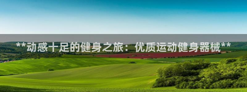 尊龙官方平台：**动感十足的健身之旅：优质运动健身器