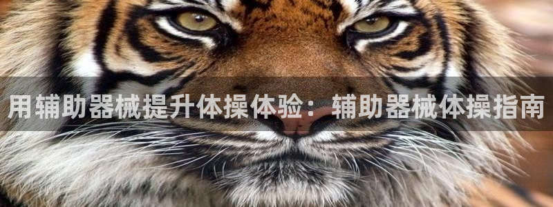 尊龙用现金娱乐一下下载旧：用辅助器械提升体操体验：辅