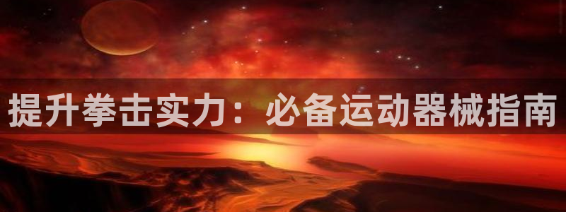 尊龙凯时人生就是博游戏网站：提升拳击实力：必备运动器