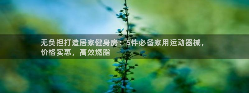 尊龙目前情况：无负担打造居家健身房：5件必备家用运动