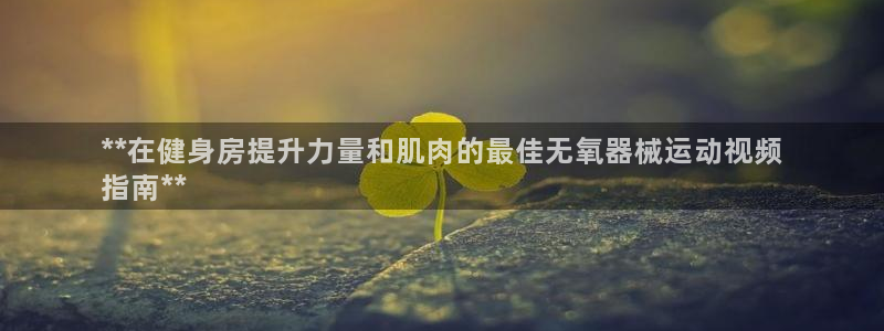 尊龙凯时始人生就是博：**在健身房提升力量和肌肉的最