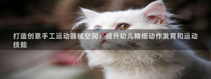 尊龙网站人生就是博：打造创意手工运动器械空间：提升幼