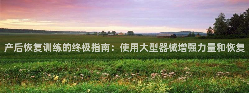 凯时k66官网登录：产后恢复训练的终极指南：使用大型
