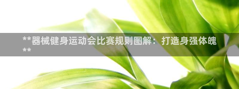 尊龙凯时人生就博官网：**器械健身运动会比赛规则图解