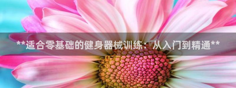 凯时国际最新：**适合零基础的健身器械训练：从入门到