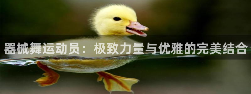 尊龙专访：器械舞运动员：极致力量与优雅的完美结合