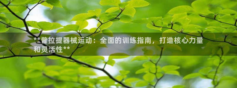 尊龙D88现金旧版：**普拉提器械运动：全面的训练指