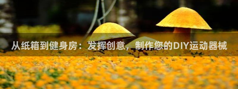 ZL尊龙凯时集团：从纸箱到健身房：发挥创意，制作您的