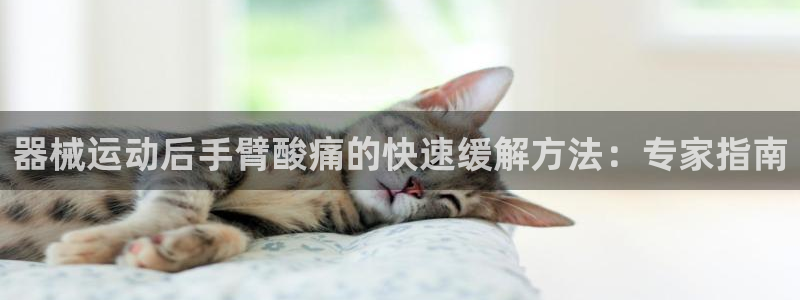 尊龙是什么软件：器械运动后手臂酸痛的快速缓解方法：专