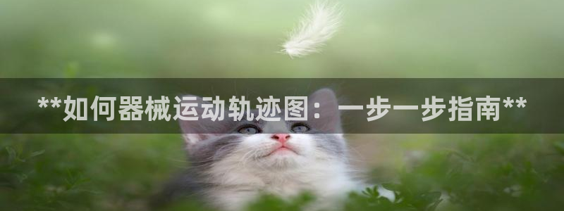 尊龙凯时 - 人生就是搏!提款怎么样：**如何器械运