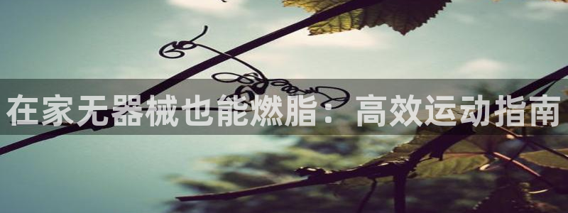 尊龙人生就是博菲律宾台子：在家无器械也能燃脂：高效运