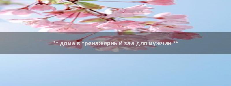 尊龙凯时登入首页：** дома в тренаже